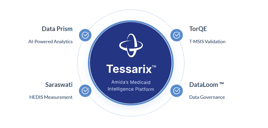 Data Prism (AI-Powered Analytics), TorQE (T-MSIS Validation), Saraswati (HEDIS Measurement), and DataLoom (Data Governance) connected around the Tessarix Medicaid Intelligence Platform.